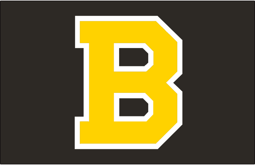 Boston Bruins 1948-1955 Jersey Logo iron on transfers for clothing